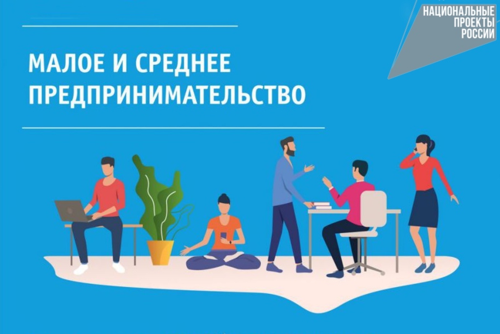 ФЗ от 24.07.2007 № 209-ФЗ &amp;quot; О развитии малого и среднего предпринимательства в Российской Федерации&amp;quot;.